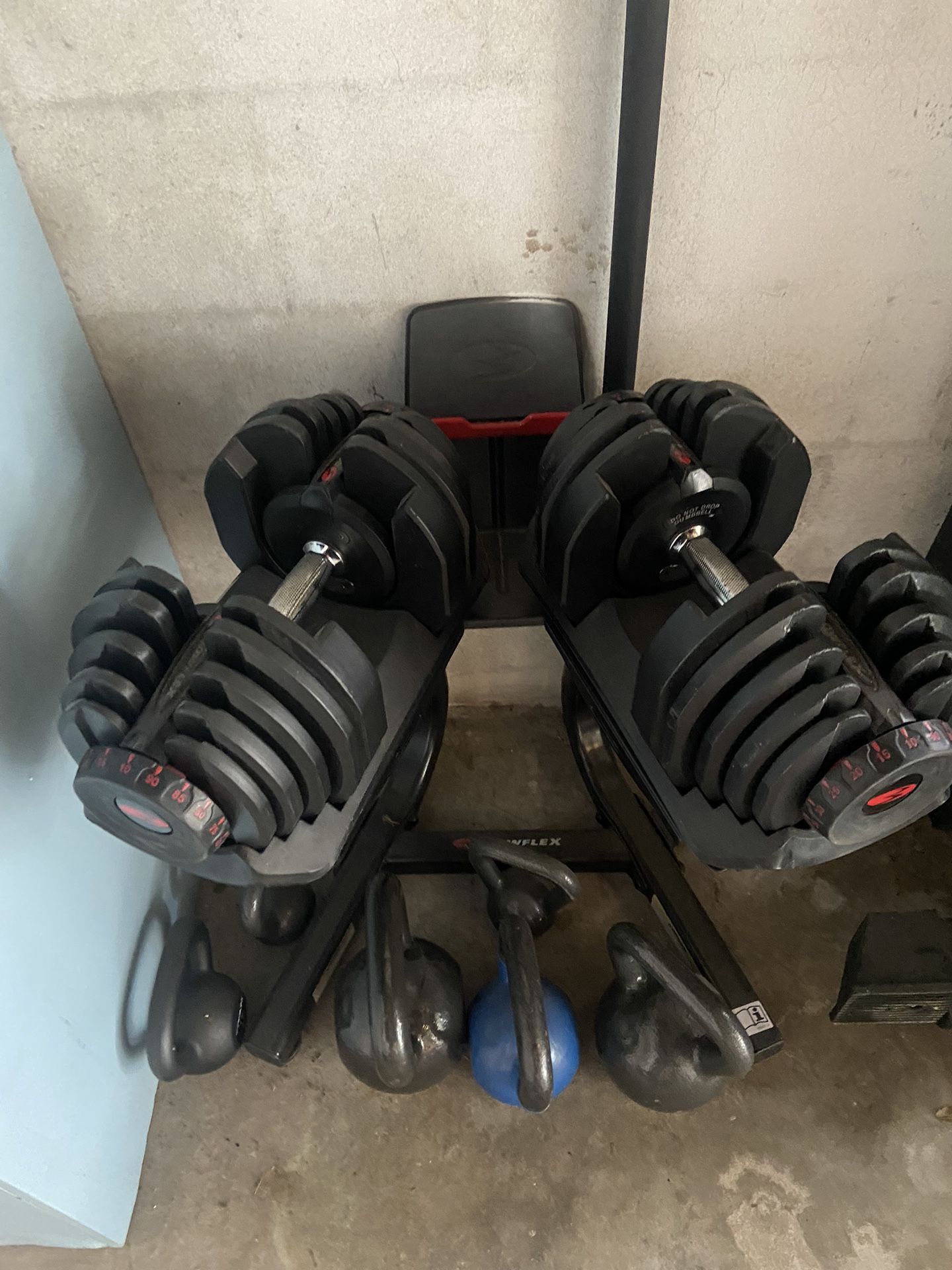 Bow Flex SelectTech 1090 dumbbells 10-90lbs With Stand