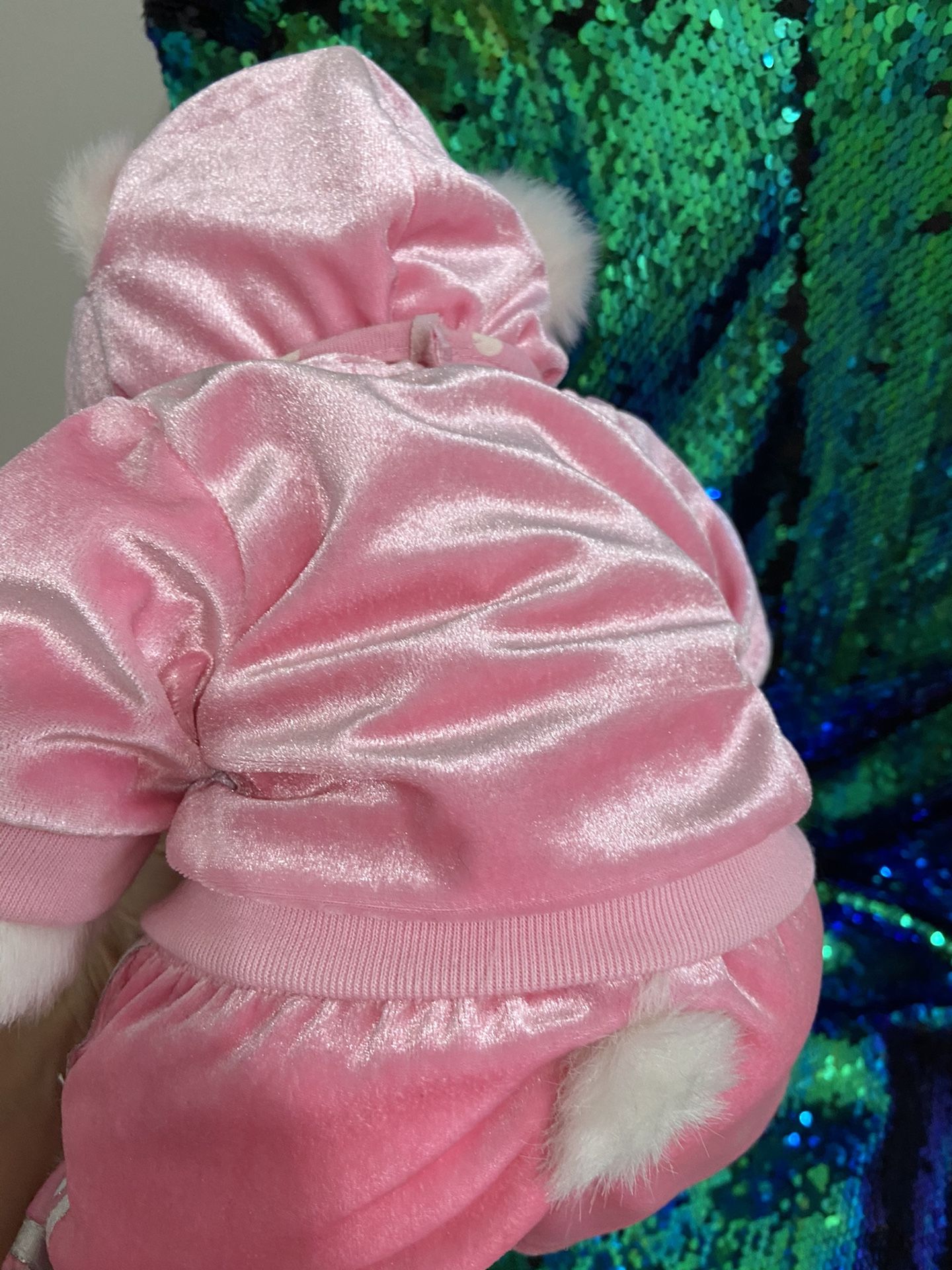 Bear Toy