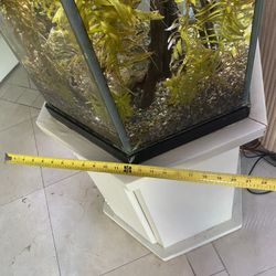 40-50gallon Hex Aquarium, Lights, Heater, Canister Filter, Wood, Plants, Air Pump, And More
