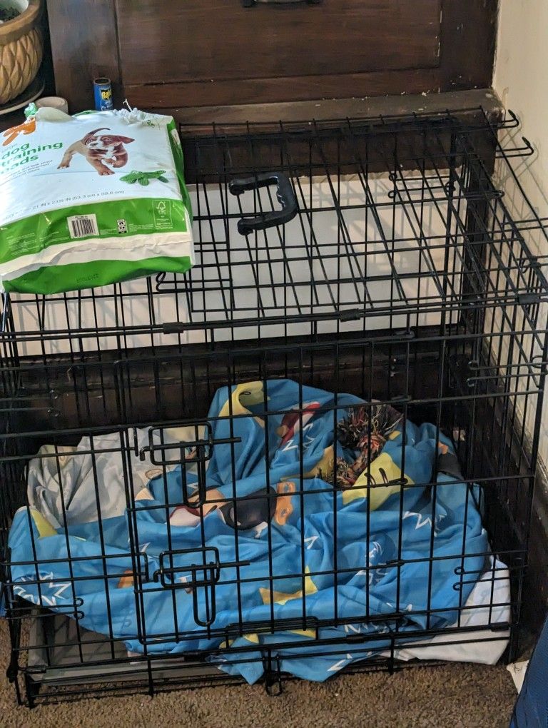 Dog Crate