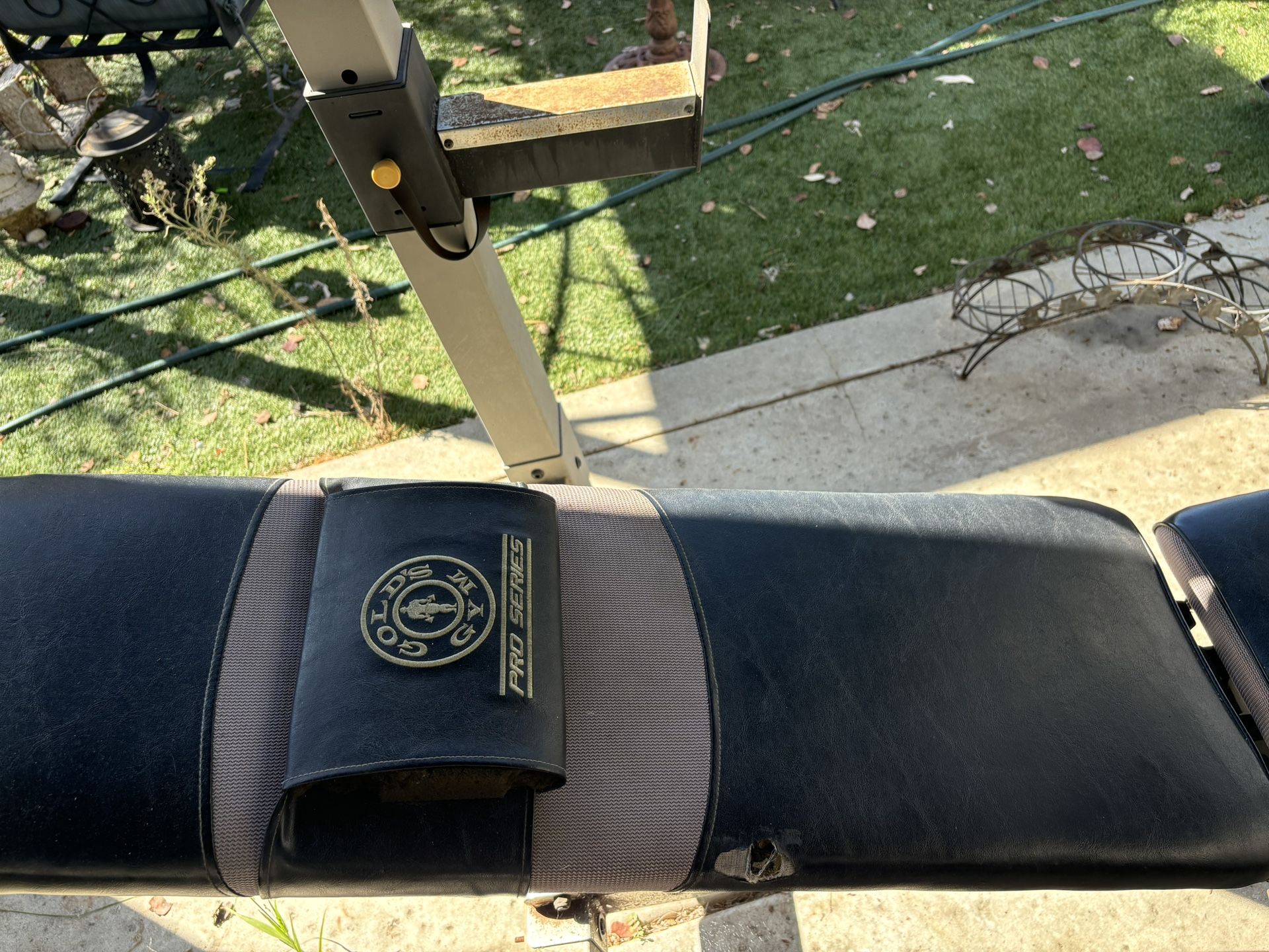 Workout Bench And Weights, Weight Tree And Lat Pull Machine