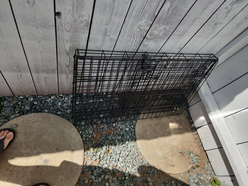 Dog Kennel