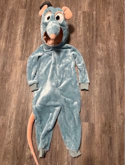 Disney Pixar Ratatouille Remy child’s size 4T costume in excellent condition