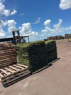 Sod For Sale