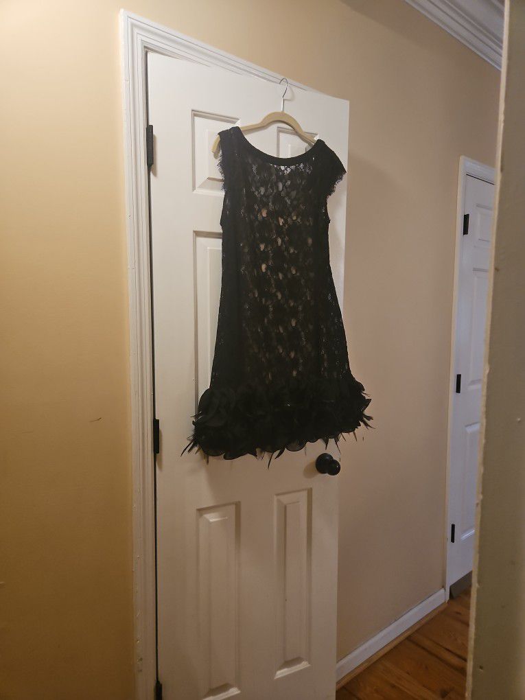 Black Dress With Black Feather Boarder