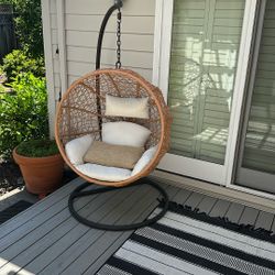 Hanging Egg Chair 
