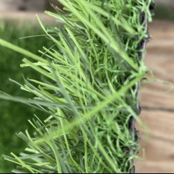 Royal Artificial Grass - Per Square Feet 
