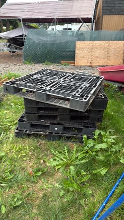 Free. 6 plastic pallets