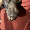 Esther