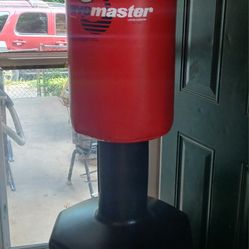 Century Wavemaster Punching Bag