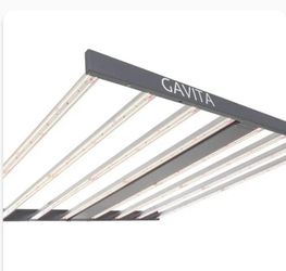Gavita led grow lights