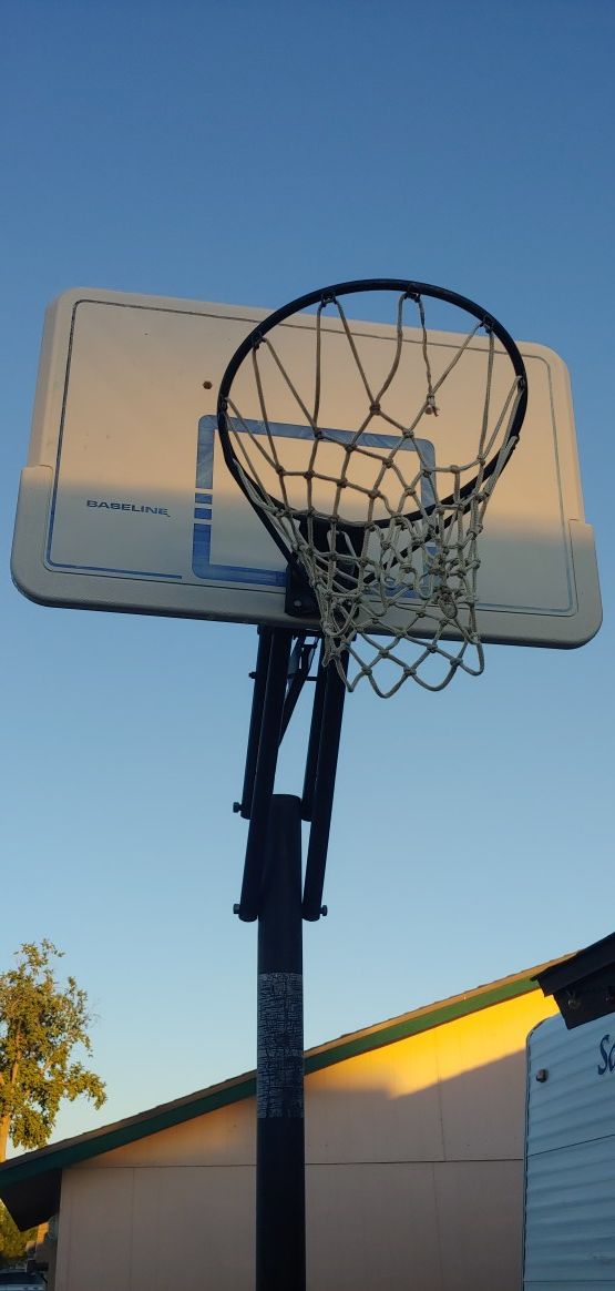 Lifetime Baseline basketball hoop