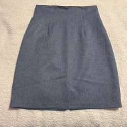 Classy Business Skirt 