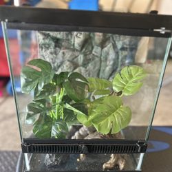 Reptile Cage 