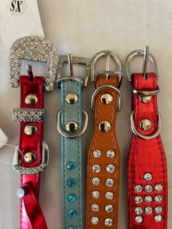 4 Small Dog Collars