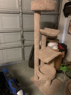 Cat Tree
