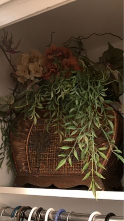 Plant