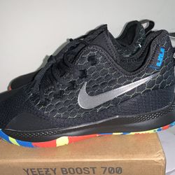 Nike Lebron Witness 