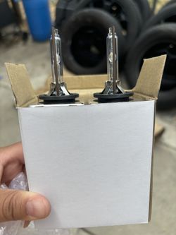 Head Lights