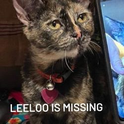 Missing Leeloo
