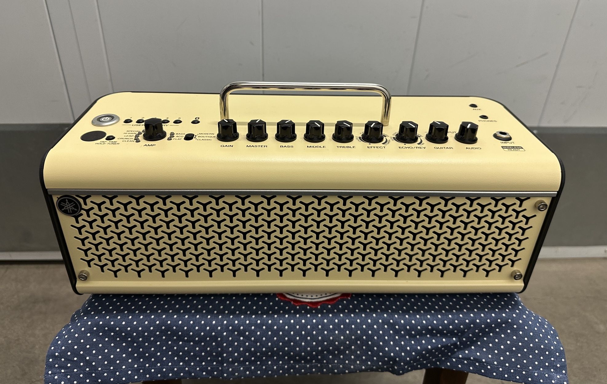 YAMAHA THR30II
