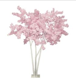Cherry blossom trees 8ft tall