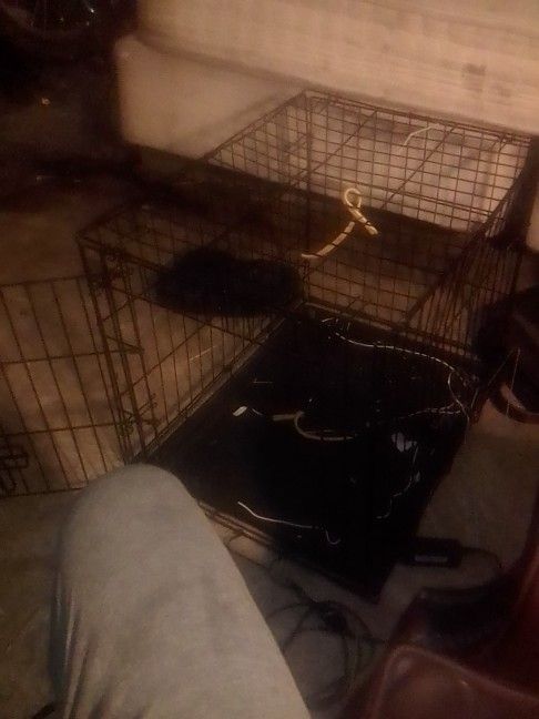 Small Dog Cage