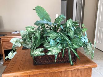 Silk plant arrangement