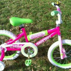 16" Girls Bike Dynacraft with Training Wheels

