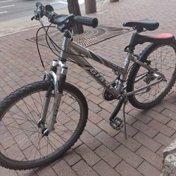 Rincon GIANT Extra light aluminum alloy eighteen speed , asking 35$