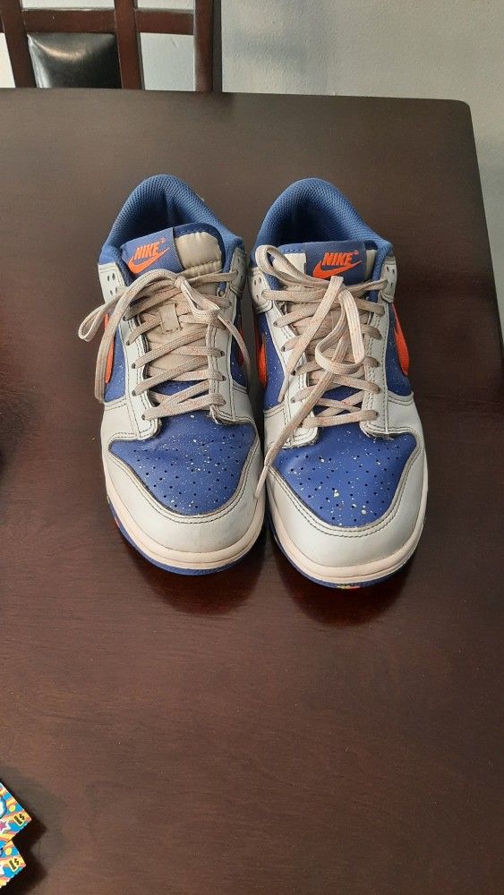 Big Kids Nike Dunk