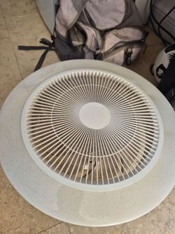 Ceiling fan