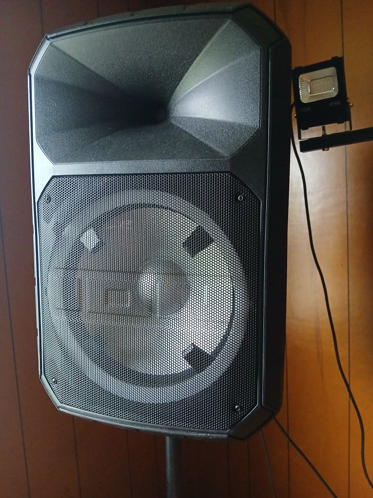 Ion 12inch 500 Watt Speakers With Stands And Party Lights