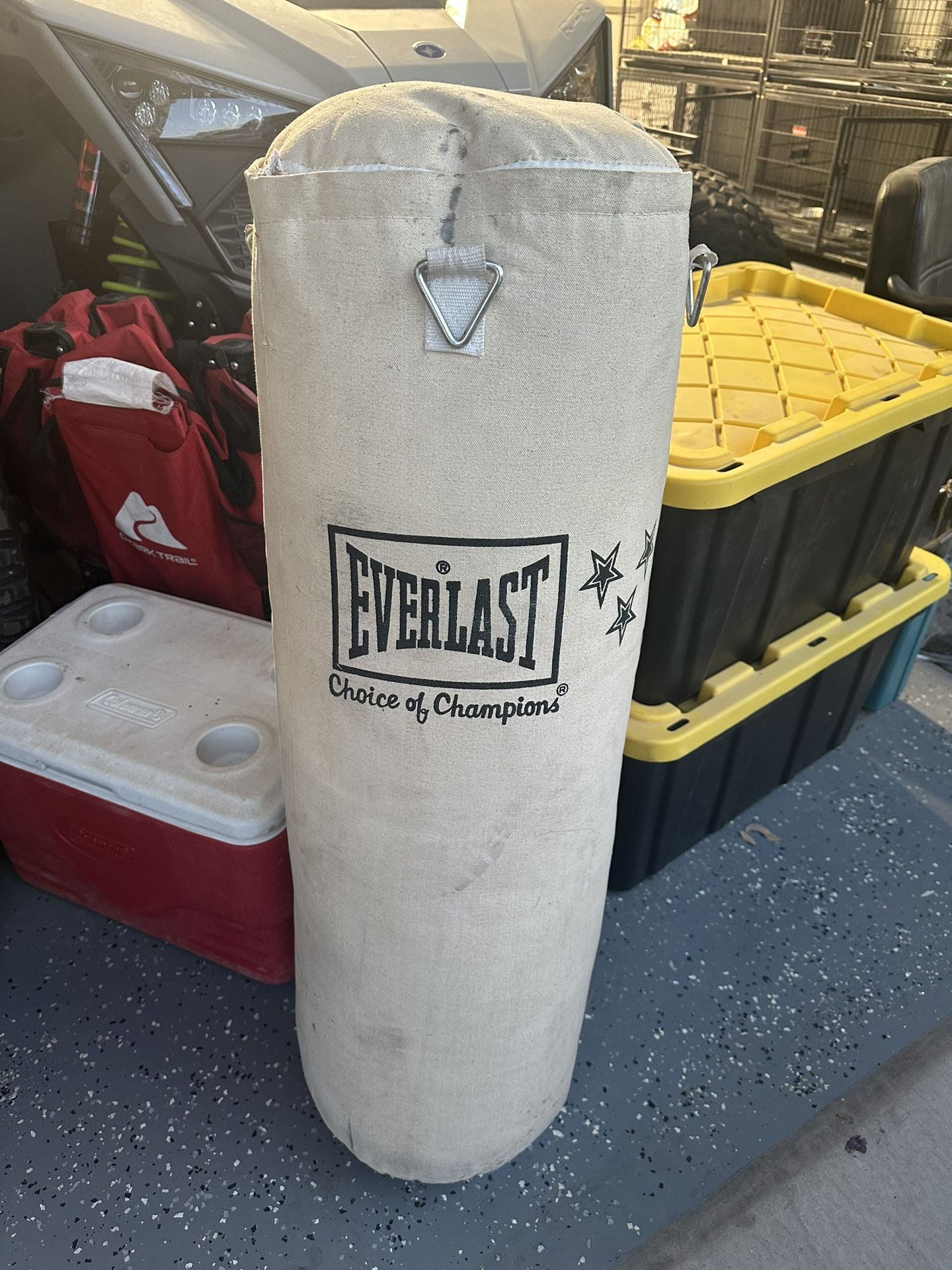 Everlast Punching Bag