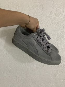 Grey pumas