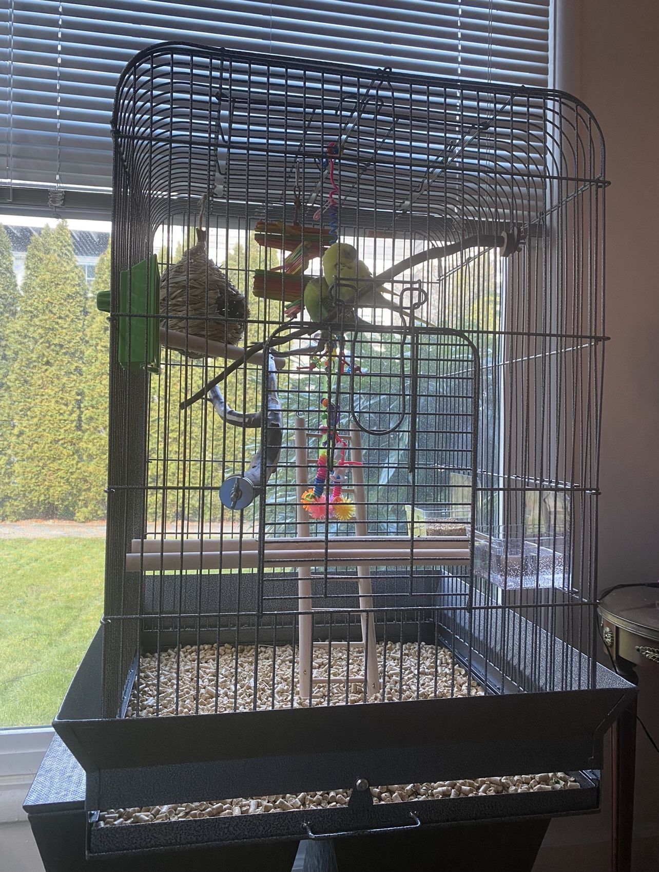 All Living Things Sturdy and Spotless Bird Home Cage