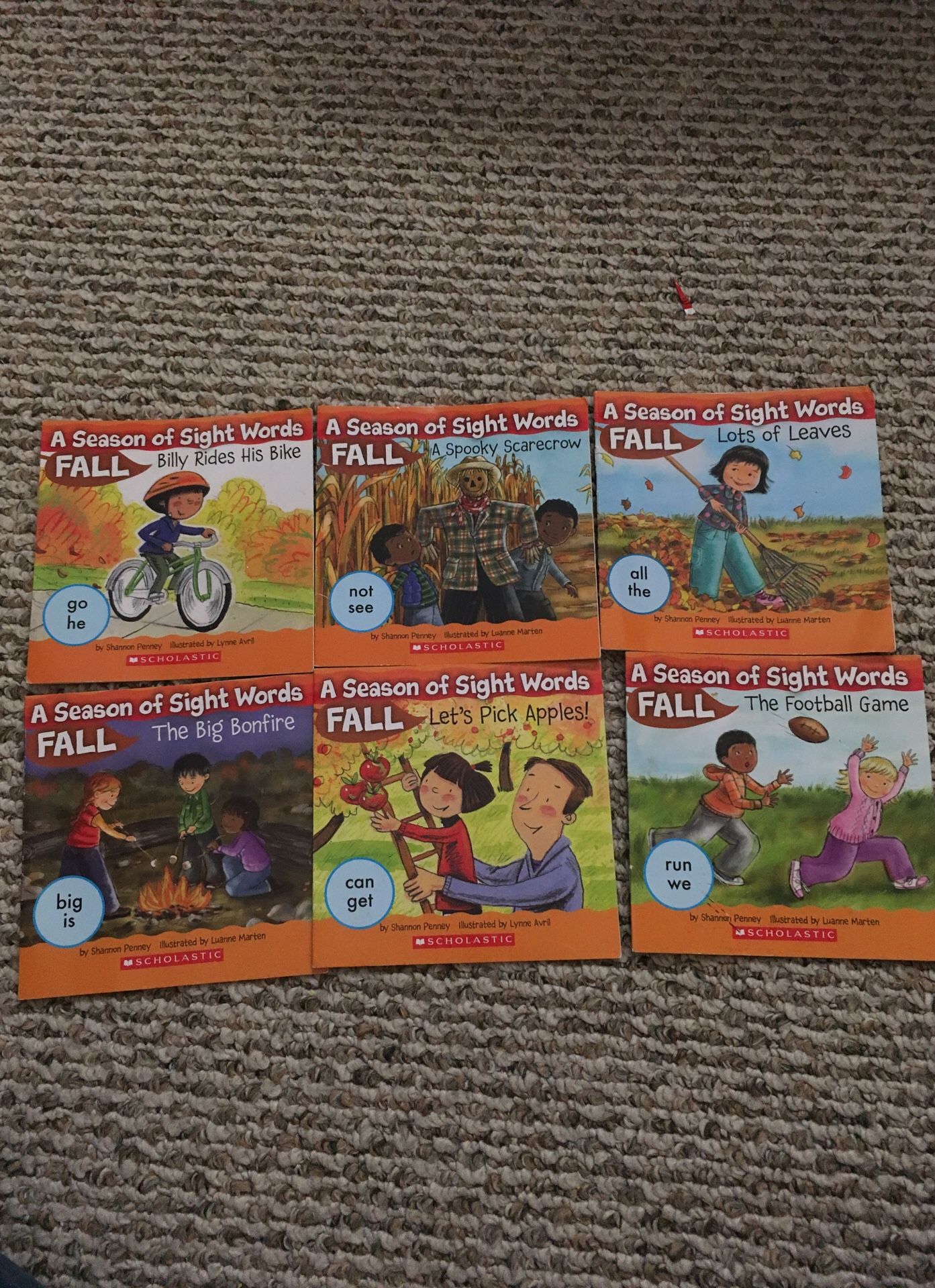 Scholastic/ Lakeshore Sight word, phonics beginning reading books