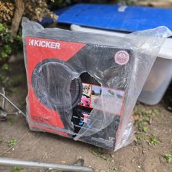 2 Ohm 12 Inch Kicker Sub Woofer - $140