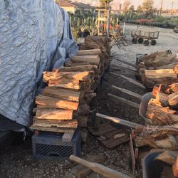 Eucalyptus Fire 🔥 Wood 🪵