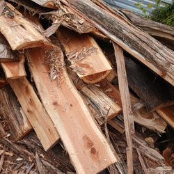 First Cut Of Cedar Logs