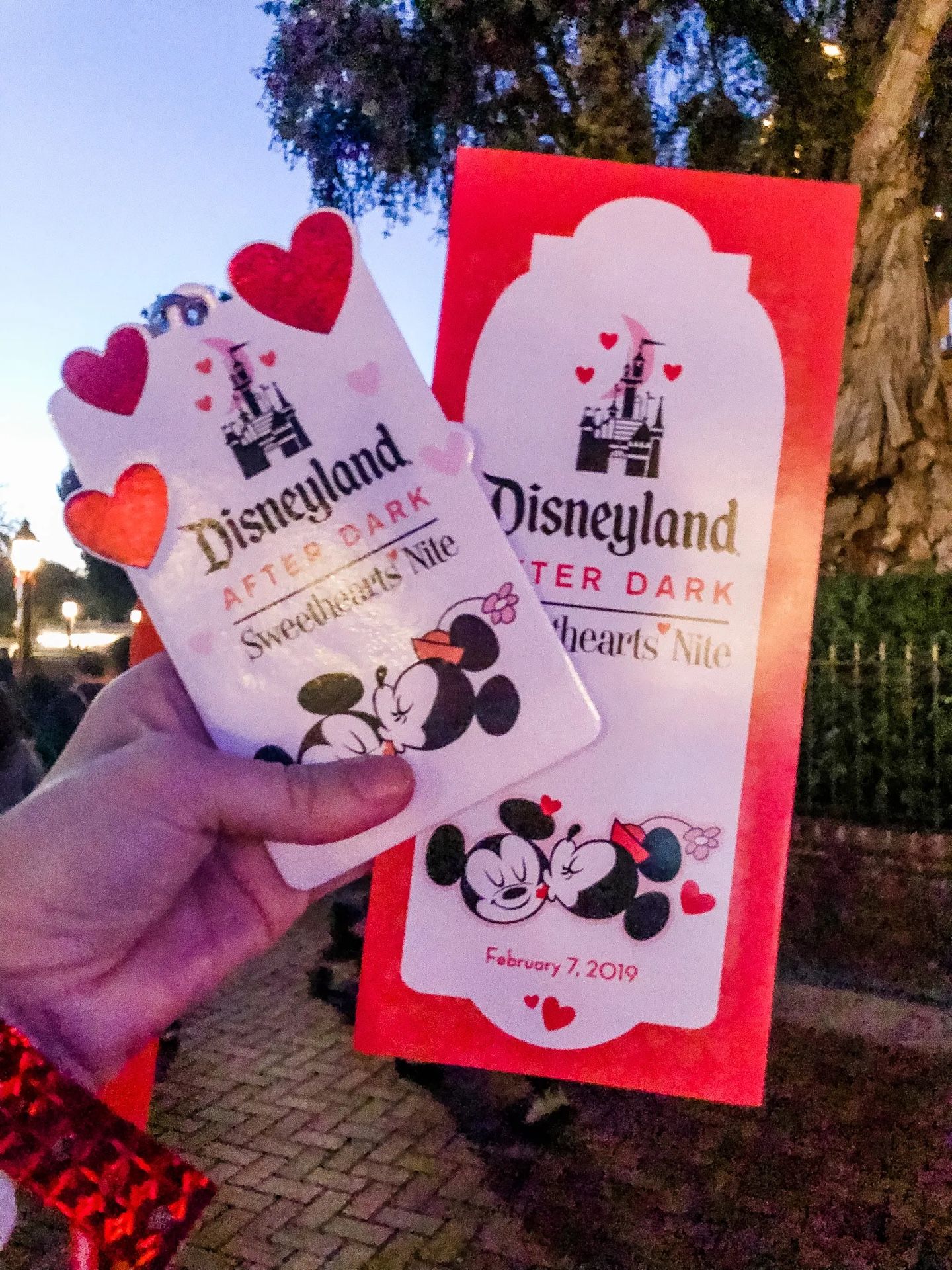 SweetHeart Nite Disneyland