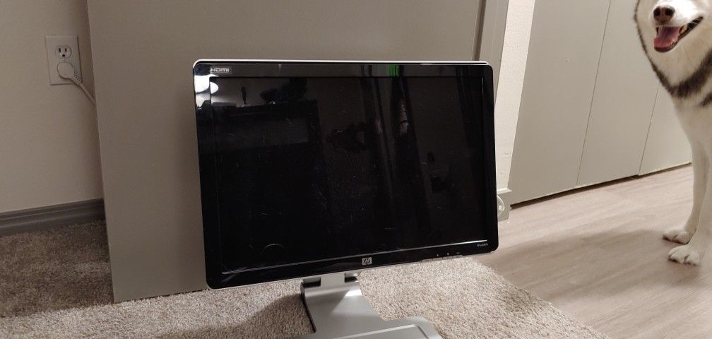 HP Computer Monitor