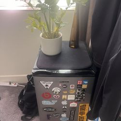 Mini Fridge 