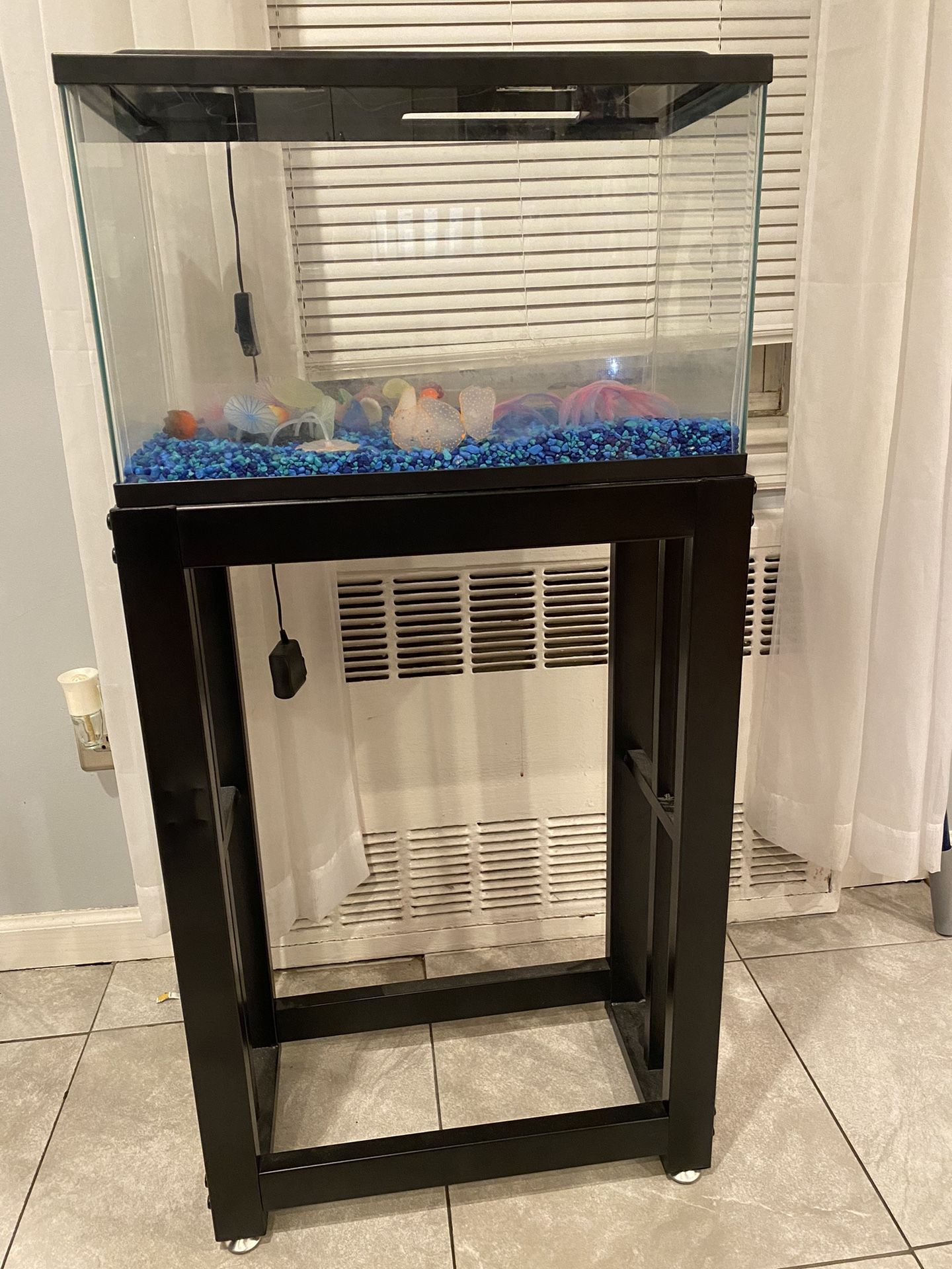 Fish Tank 10 Gallon