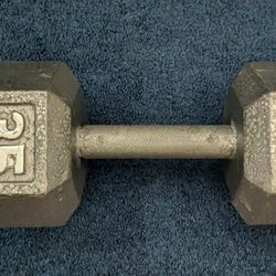 35LB. HEX  DUMBBELL Cast Iron
