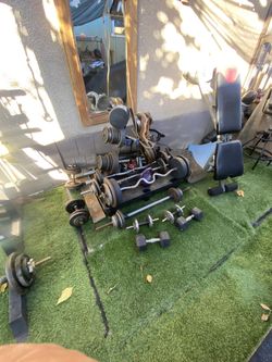 rack and weights