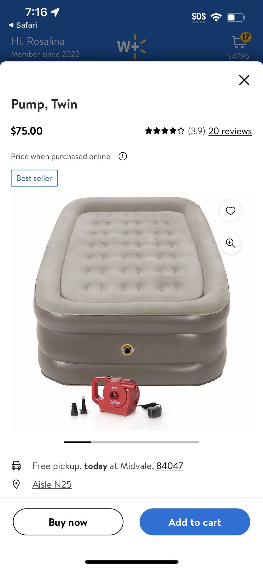 Coleman Air Mattress