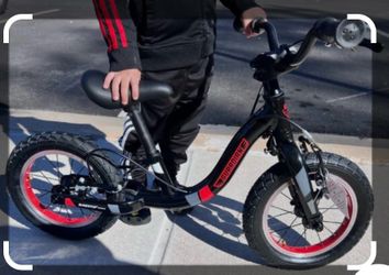 Guardian Balance Bike for Age 1.5 - 4