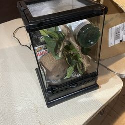 Terrarium