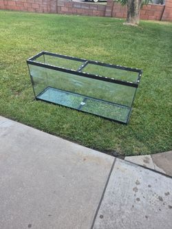 55 gallon tank